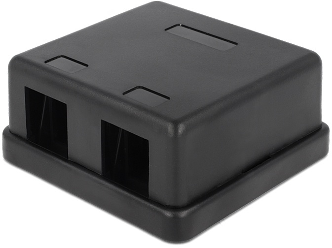 DeLOCK Keystone låda, 2 portar, plast