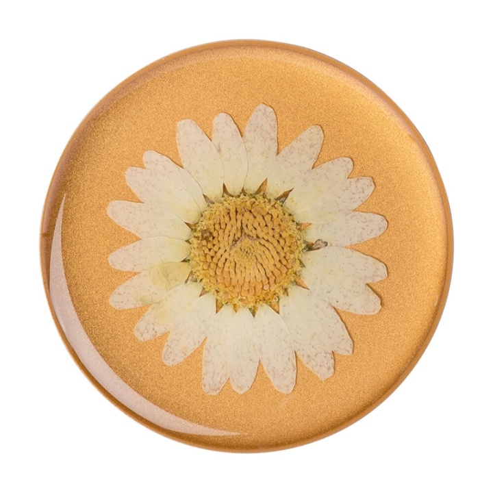 PopSockets Pressed Flower White Daisy Avtagbart Grip med Ställfunktion Premium