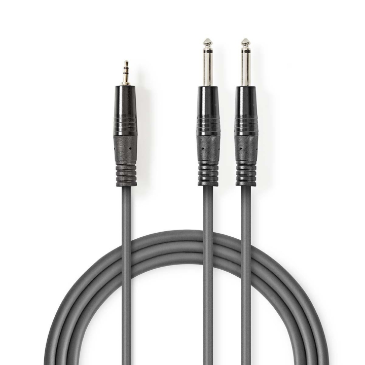 Nedis Stereoljudkabel | 2x 6.35 mm Hane | 3.5 mm Hane | Nickelplaterad | 3.00 m | Rund