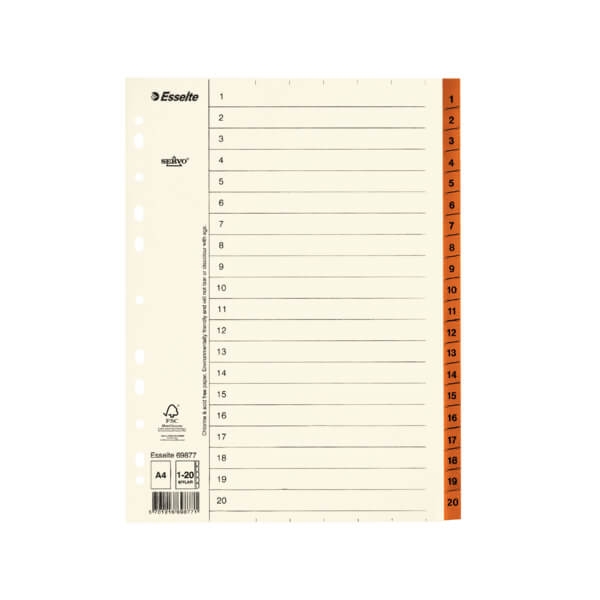 ESSELTE Register Servo A4/1-20