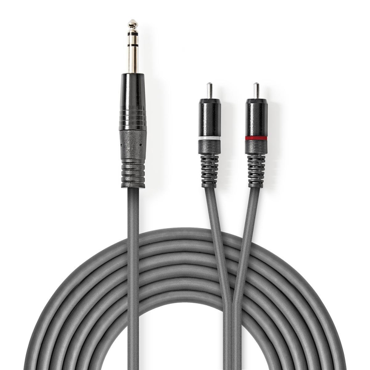 Nedis Stereoljudkabel | 6.35 mm Hane | 2x RCA Hane | Nickelplaterad | 3.00 m | Rund