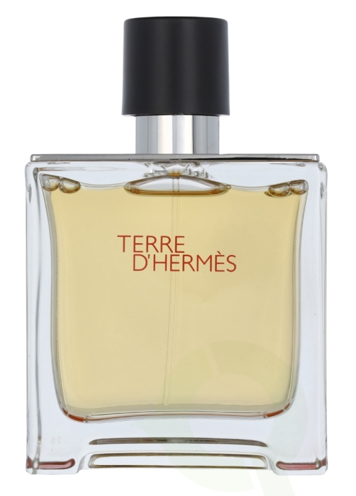 Hermes Terre D'Hermes Parfum Spray 75 ml
