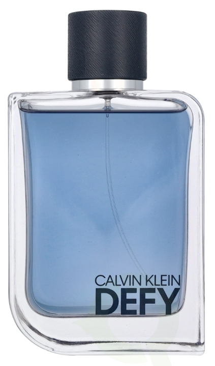 Calvin Klein Defy Edt Spray 200 ml