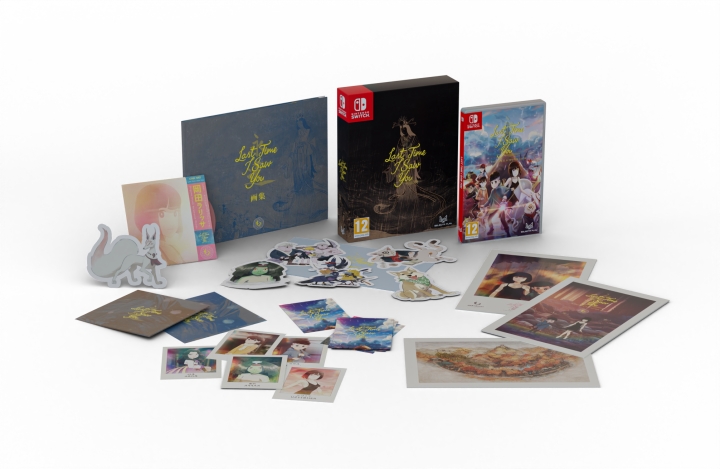 Last Time I Saw You (Special Edition) (Switch)