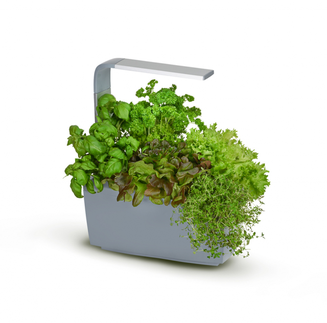 Tregren Kitchen Garden T6 Grå