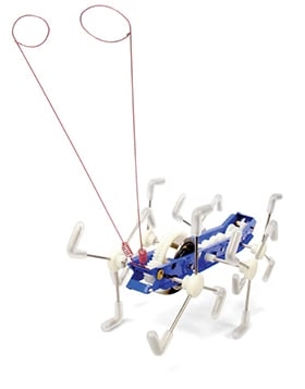 Kikkerland Mxykikker vinda upp (1504)