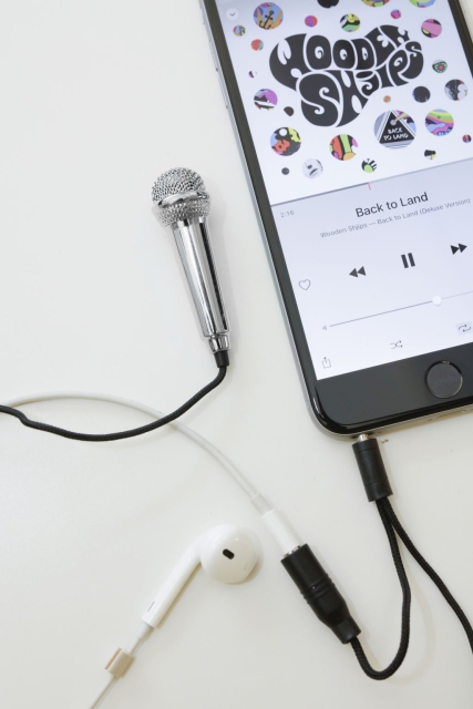 Kikkerland Mini karaokemikrofon - silver (US133-EU)