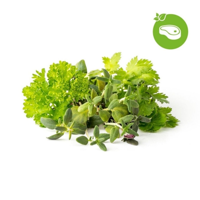 Click & Grow - Smart Garden Refill 9-pack Grill & Steak Mix