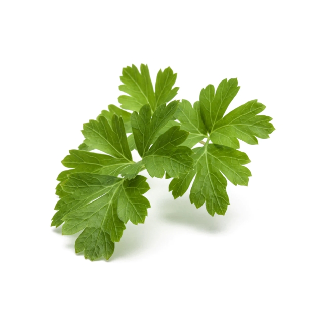 Click & Grow Smart Garden Refill 3-pack Vanlig persilja