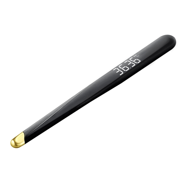 PROLIFE Termometer Digital PDT500