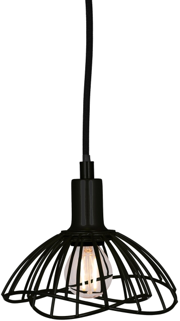 Globen Lighting Taklampa Ray 248011 Svart 16 cm Globen Lighting