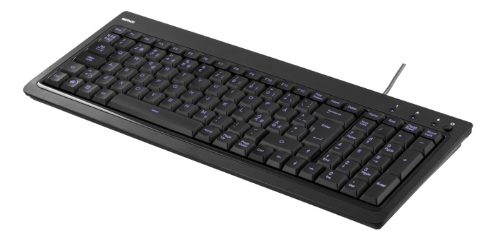 DELTACO tangentbord med bakgrundsbelysning, USB, blått ljus, svart (TB-234) i gruppen DATORER & KRINGUTRUSTNING / Möss & Tangentbord / Tangentbord / Trådbundna hos TP E-commerce Nordic AB (38-18283)