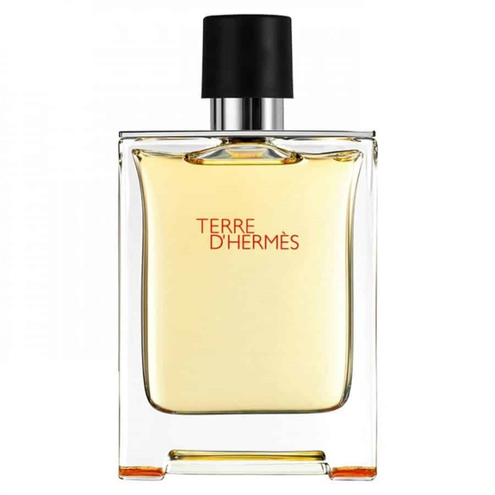 Hermes Terre d\'Hermes Edt 50ml i gruppen SKÖNHET & HÄLSA / Doft & Parfym / Parfym / Parfym för honom hos TP E-commerce Nordic AB (38-58448)