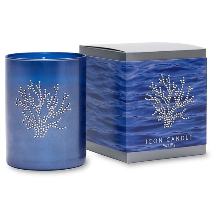 Primal Elements Icon Candle Coral i gruppen SKÖNHET & HÄLSA / Doft & Parfym / Övrig doft / Doftljus hos TP E-commerce Nordic AB (38-58651)