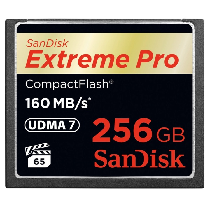 SANDISK Minneskort CF Extreme Pro 256GB 160MB/s UDMA7 i gruppen HEMELEKTRONIK / Lagringsmedia / Minneskort / Compact Flash hos TP E-commerce Nordic AB (38-77982)
