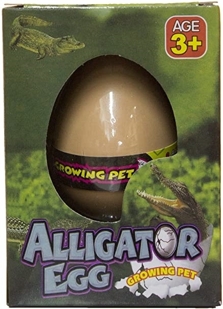 Magiskt ägg, Alligator/Krokodil i gruppen LEKSAKER, BARN- & BABYPRODUKTER / Leksaker / Övriga leksaker hos TP E-commerce Nordic AB (38-81781)