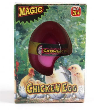 Magiskt ägg, Kyckling