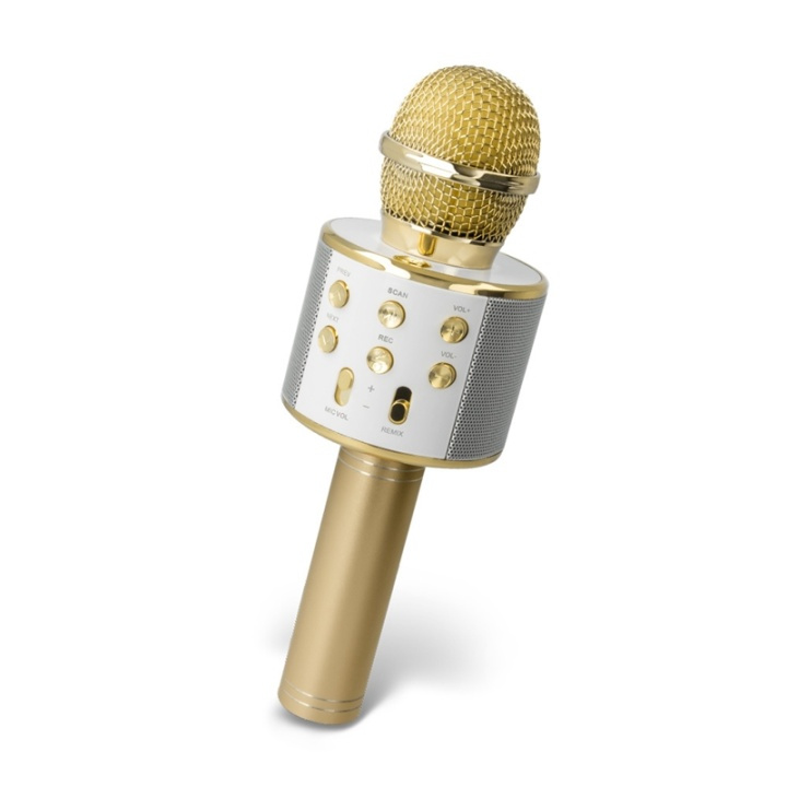 Forever BMS-300 Mikrofon med Bluetooth högtalare, Guld i gruppen HEMELEKTRONIK / Ljud & Bild / Handhållna mikrofoner hos TP E-commerce Nordic AB (38-92731)
