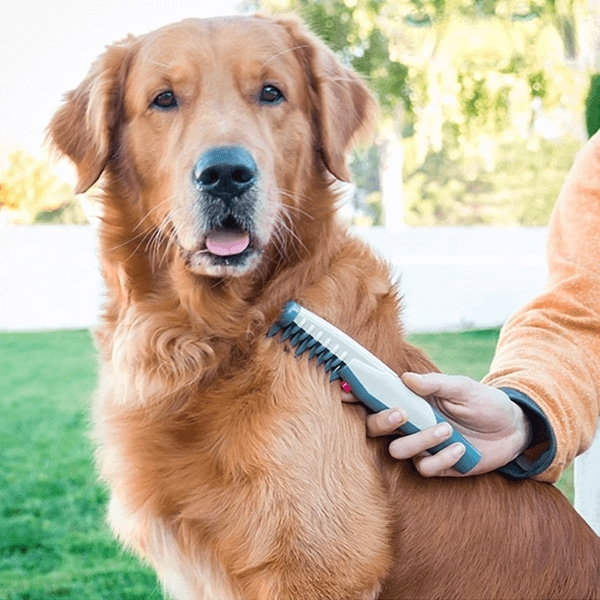 Tovmaskin för husdjur i gruppen HEM, HUSHÅLL & TRÄDGÅRD / Djurtillbehör / Hund hos TP E-commerce Nordic AB (38-94187)