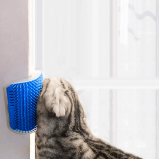 Kattmasserare, Blå