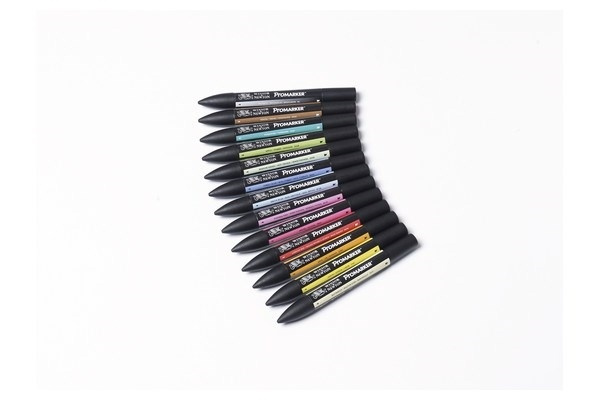 Winsor Promarker 12st, Set 2 i gruppen SPORT, FRITID & HOBBY / Hobby / Måla & Rita / Pennor, kritor & tusch hos TP E-commerce Nordic AB (A01212)