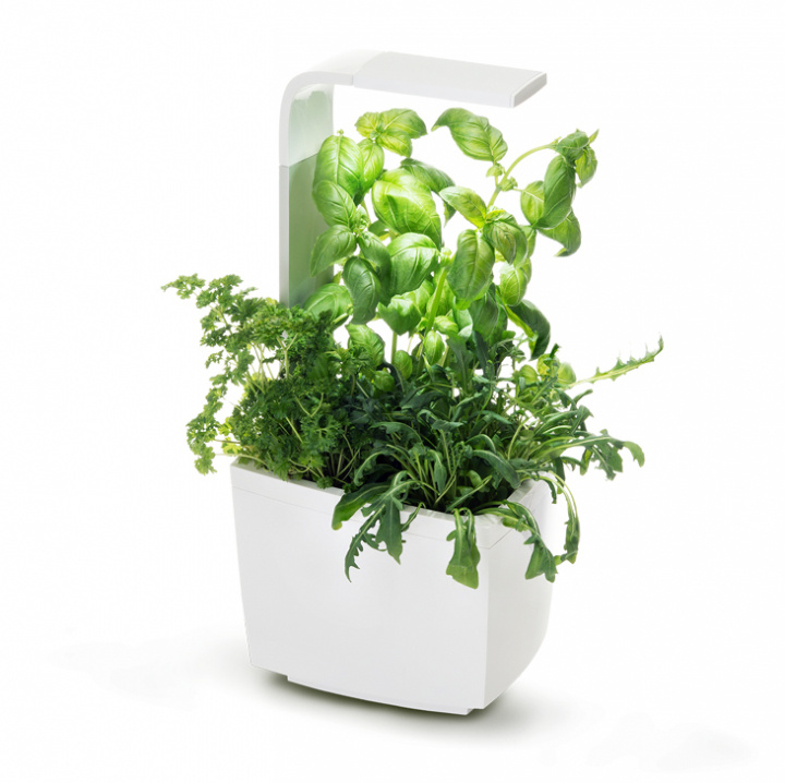 TREGREN Kitchen Garden T3 Vit i gruppen SPORT, FRITID & HOBBY / Roliga prylar / Smarta saker hos TP E-commerce Nordic AB (A04809)