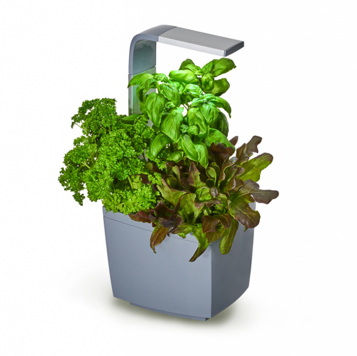 Tregren Kitchen Garden T3 Grå i gruppen SPORT, FRITID & HOBBY / Roliga prylar / Smarta saker hos TP E-commerce Nordic AB (A04810)