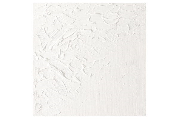 Artists Oil Col 200ML TITANIUM WHITE 644 i gruppen SPORT, FRITID & HOBBY / Hobby / Måla & Rita / Konstnärsfärger / Oljefärger hos TP E-commerce Nordic AB (A08995)