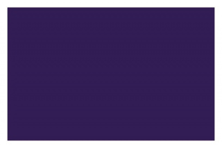 Liquitex Sprayfärg 400ml Dioxazine Purple 0186
