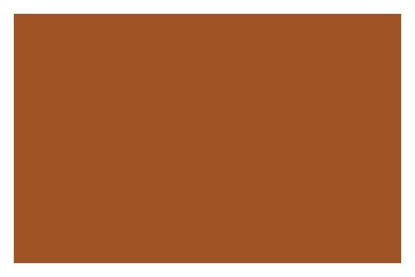 Liquitex Sprayfärg 400ml Raw Sienna 0330 i gruppen SPORT, FRITID & HOBBY / Hobby / Måla & Rita / Konstnärsfärger / Sprayfärger hos TP E-commerce Nordic AB (A09430)
