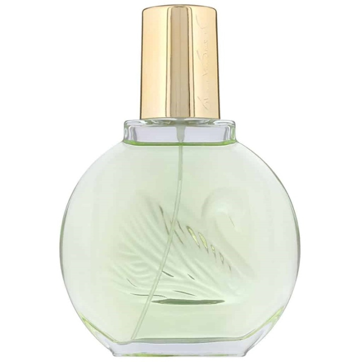 Gloria Vanderbilt Jardin a New York Edp 100ml i gruppen SKÖNHET & HÄLSA / Doft & Parfym / Parfym / Parfym för henne hos TP E-commerce Nordic AB (A10932)