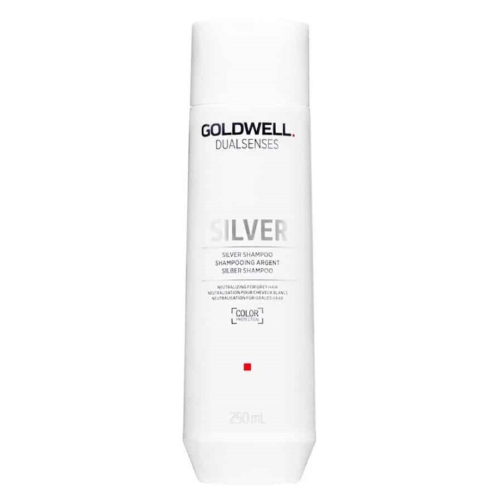 Goldwell Dualsenses Silver Shampoo 250ml i gruppen SKÖNHET & HÄLSA / Hår & Styling / Hårvårdsprodukter / Hårfärg / Silverschampo hos TP E-commerce Nordic AB (A10950)