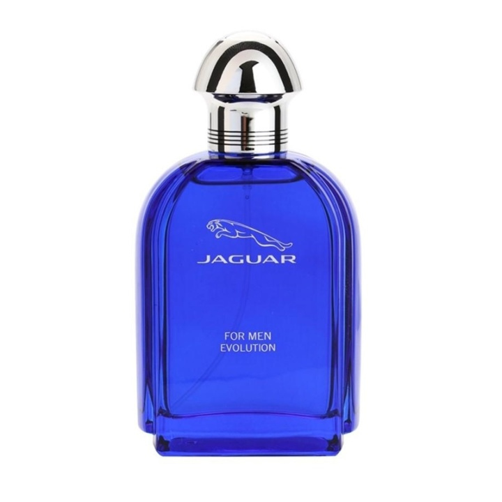 Jaguar For Men Evolution Edt 100ml i gruppen SKÖNHET & HÄLSA / Doft & Parfym / Parfym / Parfym för honom hos TP E-commerce Nordic AB (A11083)