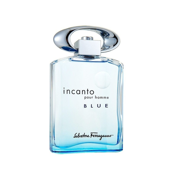 Salvatore Ferragamo Incanto Pour Homme Blue Edt 100ml i gruppen SKÖNHET & HÄLSA / Doft & Parfym / Parfym / Parfym för honom hos TP E-commerce Nordic AB (A12946)