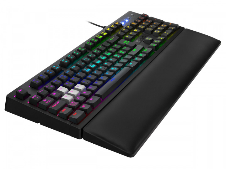 Svive Orcus Optisk RGB Gaming Tangentbord i gruppen DATORER & KRINGUTRUSTNING / Gaming / Tangentbord hos TP E-commerce Nordic AB (A23085)