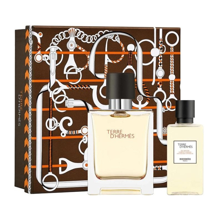 Hermes Giftset Hermes Terre d\'Hermes Edt 100ml + Shower Gel 80ml i gruppen SKÖNHET & HÄLSA / Doft & Parfym / Parfym / Parfym för honom hos TP E-commerce Nordic AB (C03391)