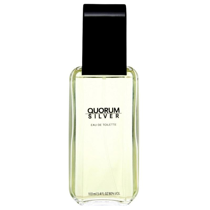 Antonio Puig Quorum Silver Edt 100ml i gruppen SKÖNHET & HÄLSA / Doft & Parfym / Parfym / Parfym för honom hos TP E-commerce Nordic AB (C03835)