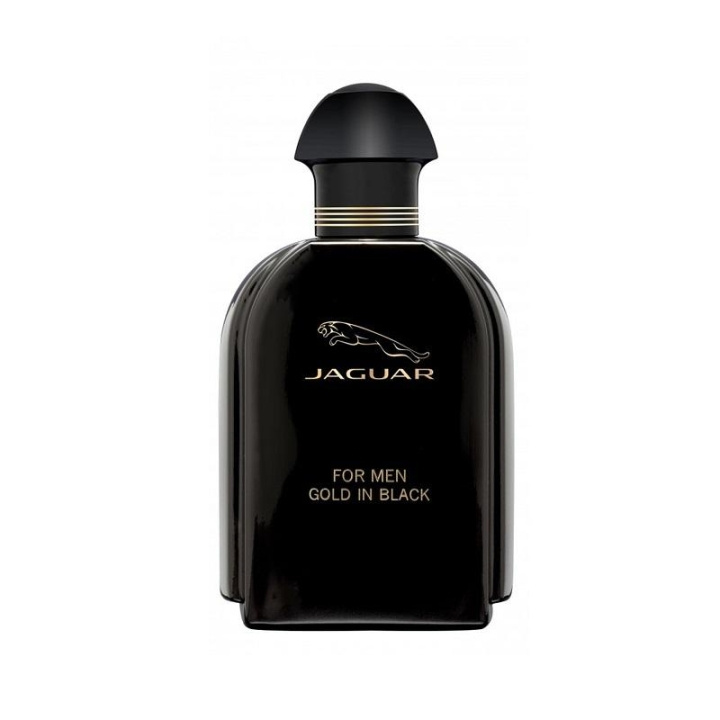 Jaguar for Men Gold In Black Edt 100ml i gruppen SKÖNHET & HÄLSA / Doft & Parfym / Parfym / Parfym för honom hos TP E-commerce Nordic AB (C05066)