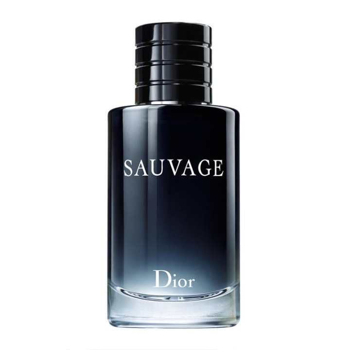 Dior Sauvage Parfum 100ml i gruppen SKÖNHET & HÄLSA / Doft & Parfym / Parfym / Parfym för honom hos TP E-commerce Nordic AB (C05922)