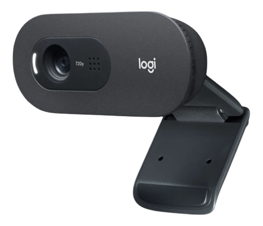 LOGITECH C505e HD business webcam, 720p, black, brownbox i gruppen DATORER & KRINGUTRUSTNING / Datortillbehör / Webbkameror hos TP E-commerce Nordic AB (C09101)