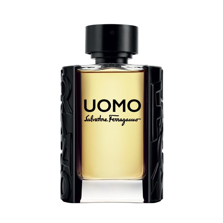 Salvatore Ferragamo Uomo Edt 100ml i gruppen SKÖNHET & HÄLSA / Doft & Parfym / Parfym / Parfym för henne hos TP E-commerce Nordic AB (C10837)