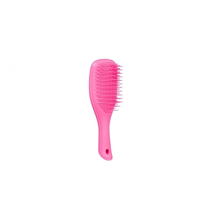 Tangle Teezer Wet Detangle Mini Pink i gruppen SKÖNHET & HÄLSA / Hår & Styling / Hårborstar & Kammar hos TP E-commerce Nordic AB (C11350)