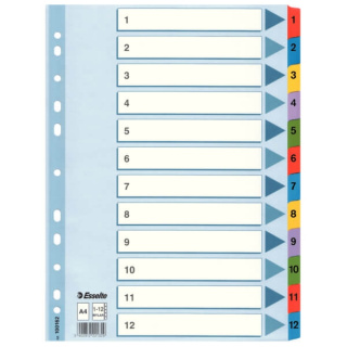 ESSELTE Register Mylar A4/1-12 Multifärgat