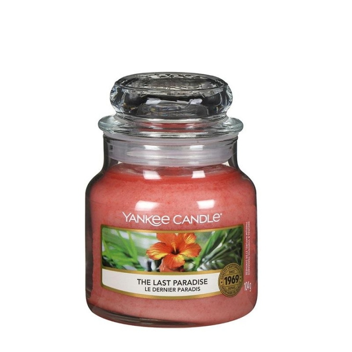 Yankee Candle Classic Small Jar The Last Paradise 104g i gruppen SKÖNHET & HÄLSA / Doft & Parfym / Övrig doft / Doftljus hos TP E-commerce Nordic AB (C13307)