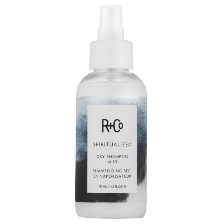 R+Co Spiritualized Dry Shampoo Mist 124ml i gruppen SKÖNHET & HÄLSA / Hår & Styling / Hårvårdsprodukter / Torrschampo hos TP E-commerce Nordic AB (C13429)