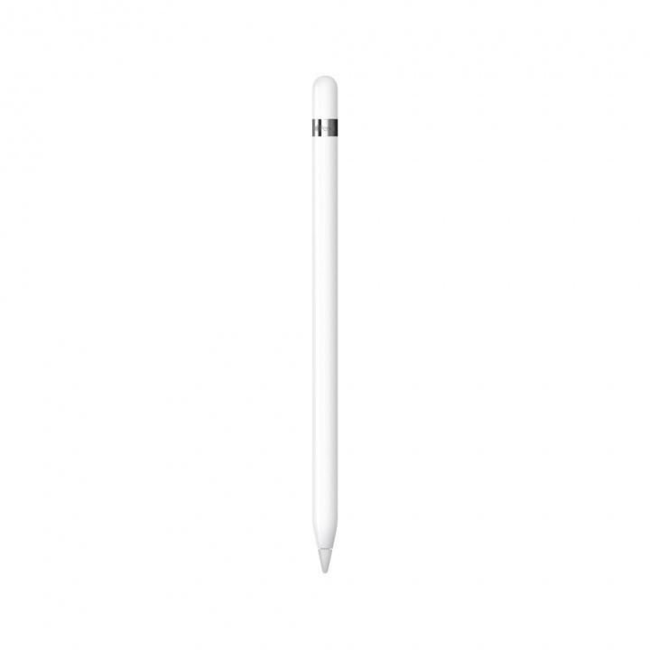 Apple Pencil (1st Generation) i gruppen SMARTPHONE & SURFPLATTOR / Övriga tillbehör / Övrigt hos TP E-commerce Nordic AB (C21294)
