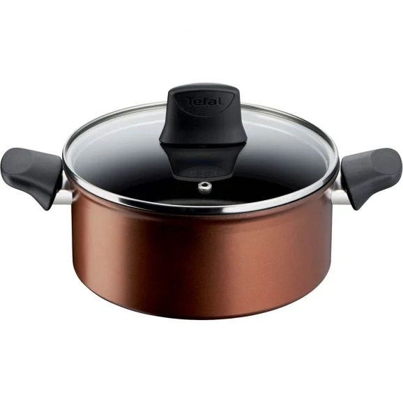 Tefal Resource Stewpot G2534453 - Kokkärl 20cm inkl Glaslock i gruppen HEM, HUSHÅLL & TRÄDGÅRD / Köksredskap / Grytor & Kastruller hos TP E-commerce Nordic AB (C21976)