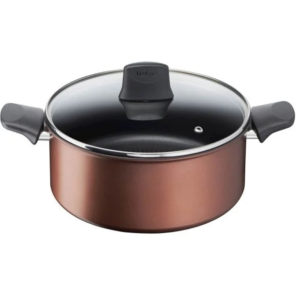 Tefal Resource Stewpot G2534632 - Kokkärl 24cm inkl Glaslock i gruppen HEM, HUSHÅLL & TRÄDGÅRD / Köksredskap / Grytor & Kastruller hos TP E-commerce Nordic AB (C21977)