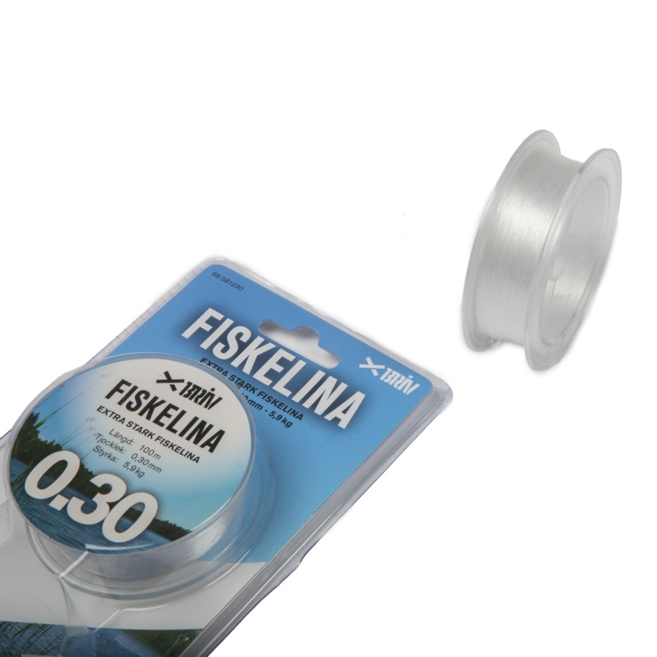 Fiskelina 2x100m, 0.30 mm, 5.9kg i gruppen SPORT, FRITID & HOBBY / Friluftsliv / Fiskeutrustning hos TP E-commerce Nordic AB (C24157)