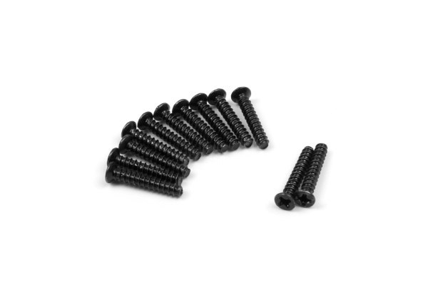 BLACKZON Countersunk Self Tapping 2x12mm (12pcs) i gruppen LEKSAKER, BARN- & BABYPRODUKTER / Radiostyrt / Reservdelar & Extra Tillbehör / Blackzon hos TP E-commerce Nordic AB (C30814)